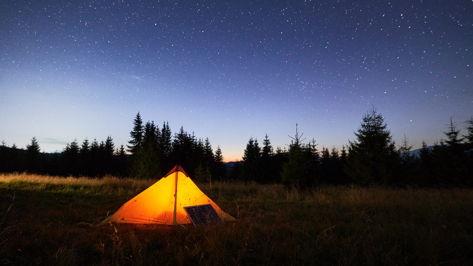 A small orange tent glowing at dusk in a grassy clearing below a starry sky, with dark conifers behind
