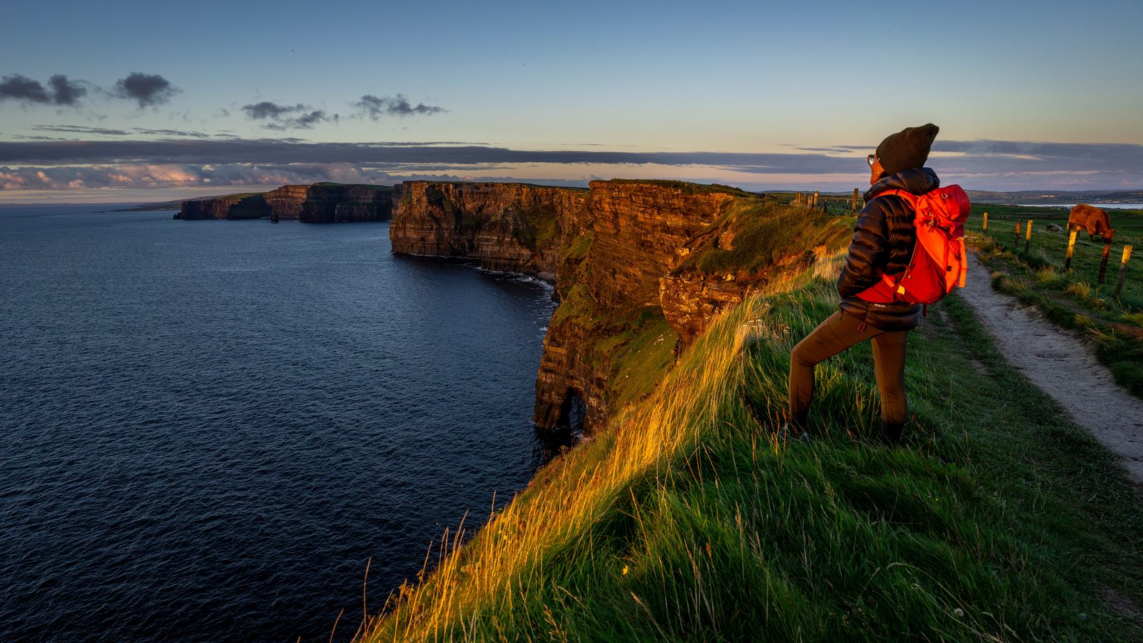 A walker with a red rucksack on a grassy cliff-top path at sunset, with a cow grazing behind a fence beside the path