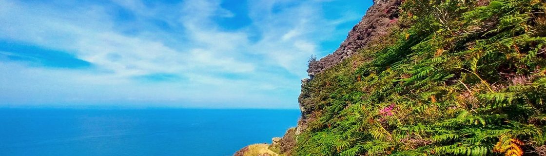 Porlock Weir to Lynmouth — South West Coast Path