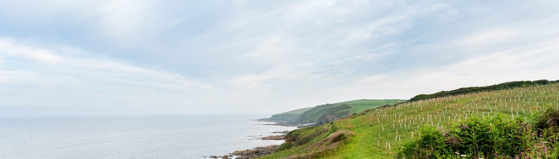 Portloe to Mevagissey — South West Coast Path