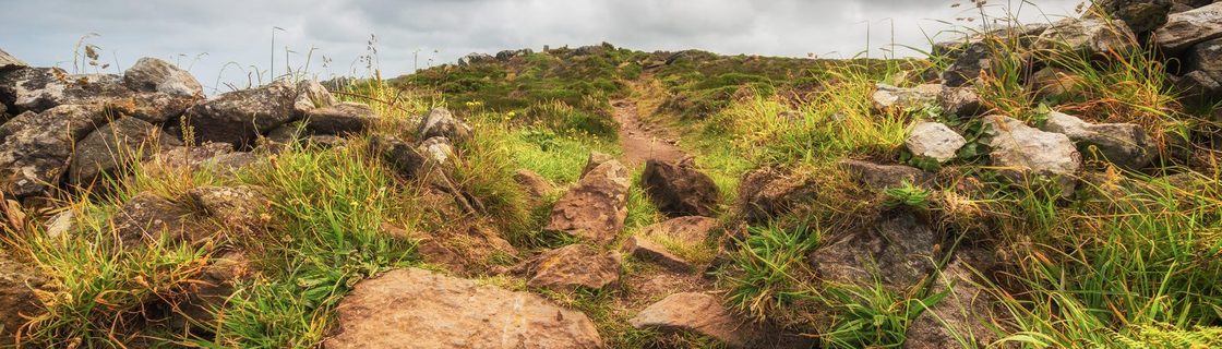 St Ives to Pendeen — South West Coast Path