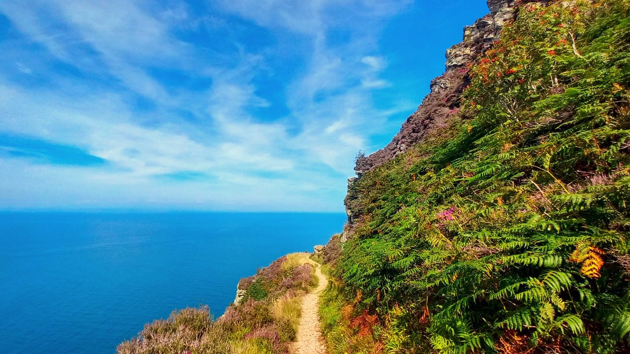 The South West Coast Path climbing above the sea on the Exmoor coast