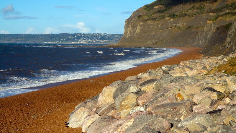 Shingle beach and cliffs at Seatown, west Dorset