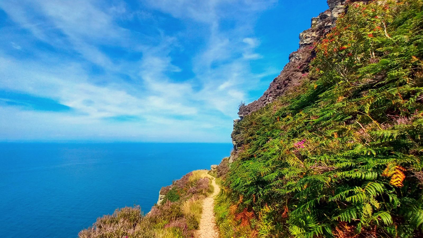 The South West Coast Path in Somerset & Exmoor