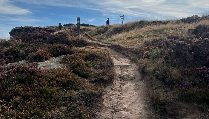Woolacombe to Braunton — South West Coast Path